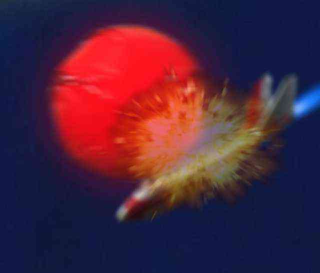 ウルトラマン 第１話 ウルトラ作戦第一号 市川大賀公式サイト